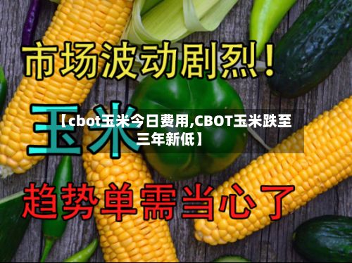 【cbot玉米今日费用,CBOT玉米跌至三年新低】-第3张图片