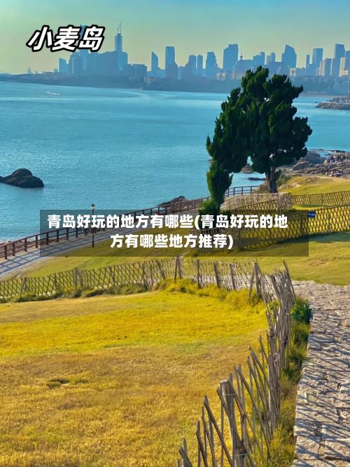 青岛好玩的地方有哪些(青岛好玩的地方有哪些地方推荐)-第3张图片