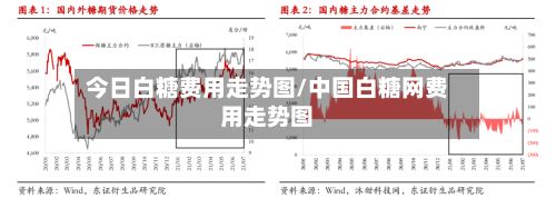 今日白糖费用走势图/中国白糖网费用走势图-第3张图片