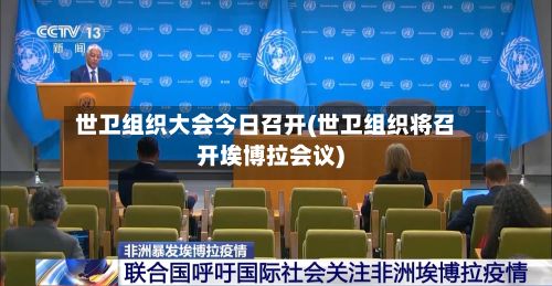 世卫组织大会今日召开(世卫组织将召开埃博拉会议)