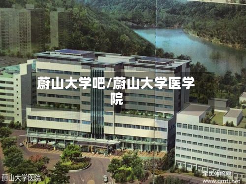 蔚山大学吧/蔚山大学医学院