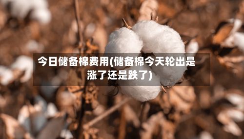 今日储备棉费用(储备棉今天轮出是涨了还是跌了)