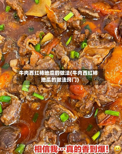 牛肉西红柿地瓜的做法(牛肉西红柿地瓜的做法窍门)