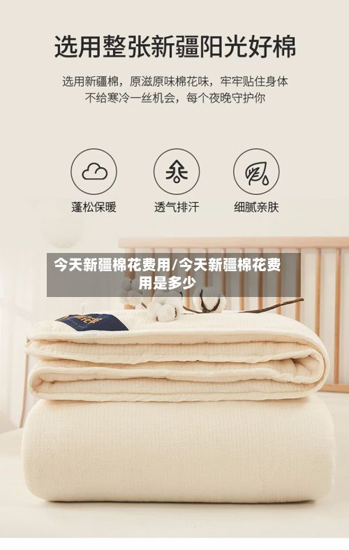 今天新疆棉花费用/今天新疆棉花费用是多少
