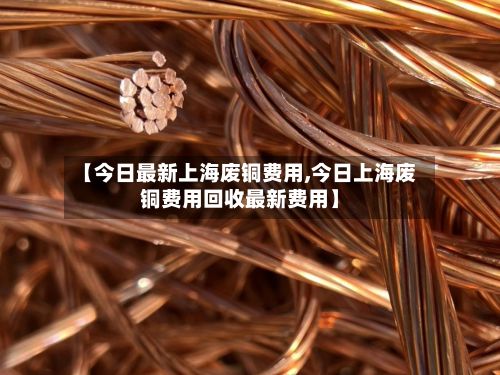 【今日最新上海废铜费用,今日上海废铜费用回收最新费用】