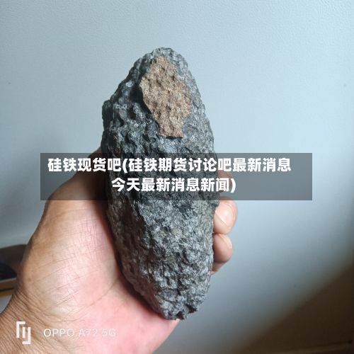 硅铁现货吧(硅铁期货讨论吧最新消息今天最新消息新闻)