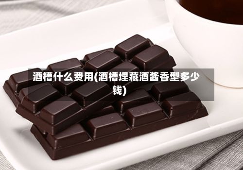 酒槽什么费用(酒槽埋藏酒酱香型多少钱)-第2张图片