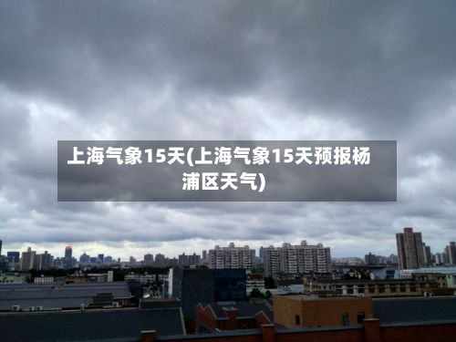 上海气象15天(上海气象15天预报杨浦区天气)