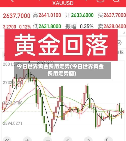 今日世界黄金费用走势(今日世界黄金费用走势图)-第2张图片
