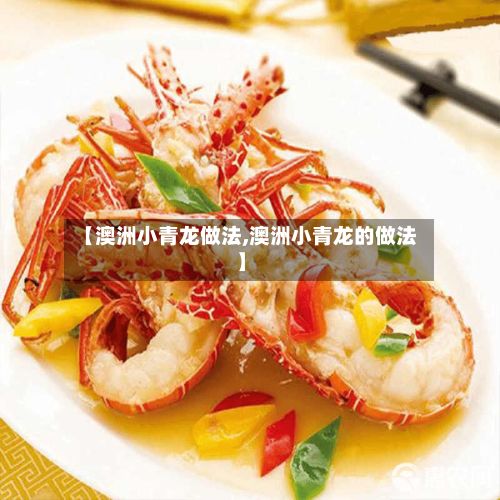 【澳洲小青龙做法,澳洲小青龙的做法】