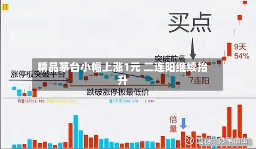 精品茅台小幅上涨1元 二连阳继续抬升