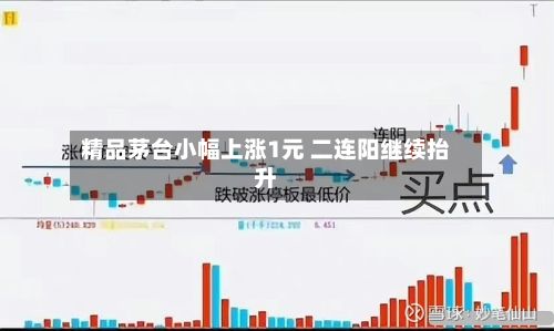 精品茅台小幅上涨1元 二连阳继续抬升-第3张图片