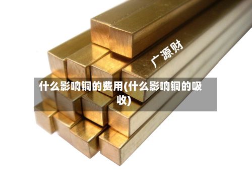 什么影响铜的费用(什么影响铜的吸收)