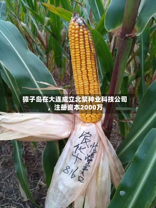 獐子岛在大连成立北繁种业科技公司	，注册资本2000万-第3张图片