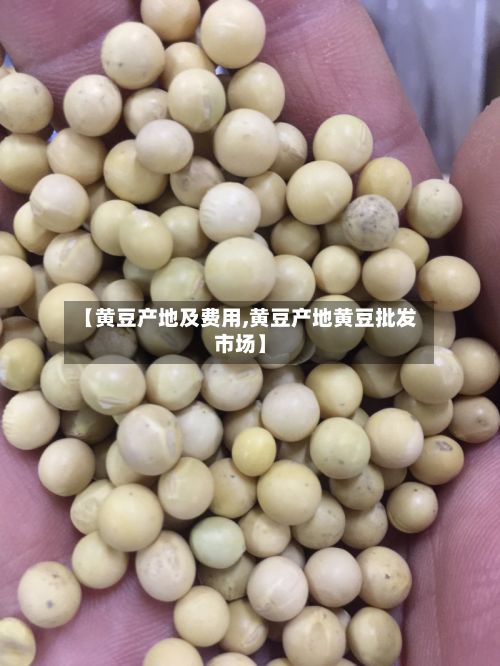 【黄豆产地及费用,黄豆产地黄豆批发市场】