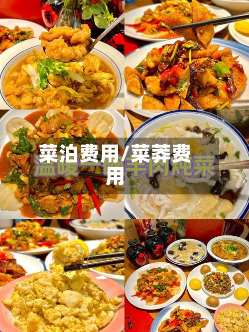 菜泊费用/菜莽费用
