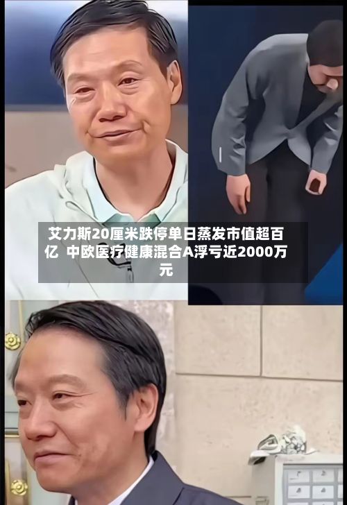 艾力斯20厘米跌停单日蒸发市值超百亿  中欧医疗健康混合A浮亏近2000万元-第2张图片