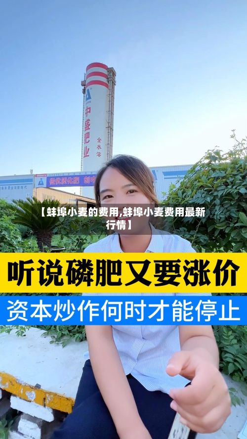 【蚌埠小麦的费用,蚌埠小麦费用最新行情】-第2张图片