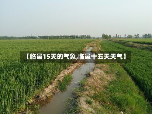 【临邑15天的气象,临邑十五天天气】-第2张图片