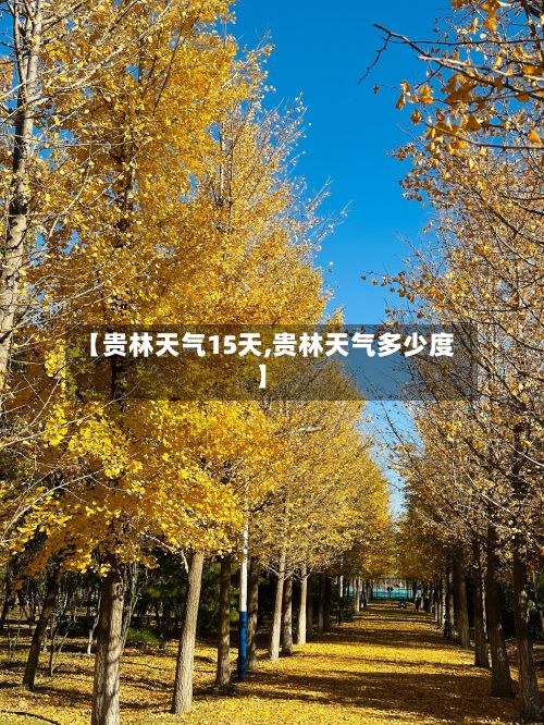 【贵林天气15天,贵林天气多少度】
