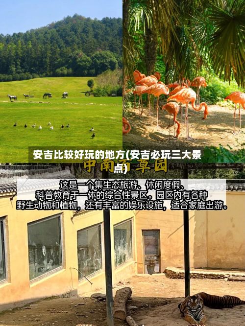 安吉比较好玩的地方(安吉必玩三大景点)-第2张图片