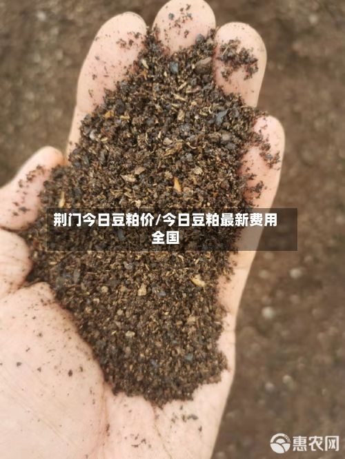 荆门今日豆粕价/今日豆粕最新费用全国-第2张图片