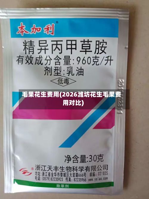 毛果花生费用(2026潍坊花生毛果费用对比)-第2张图片