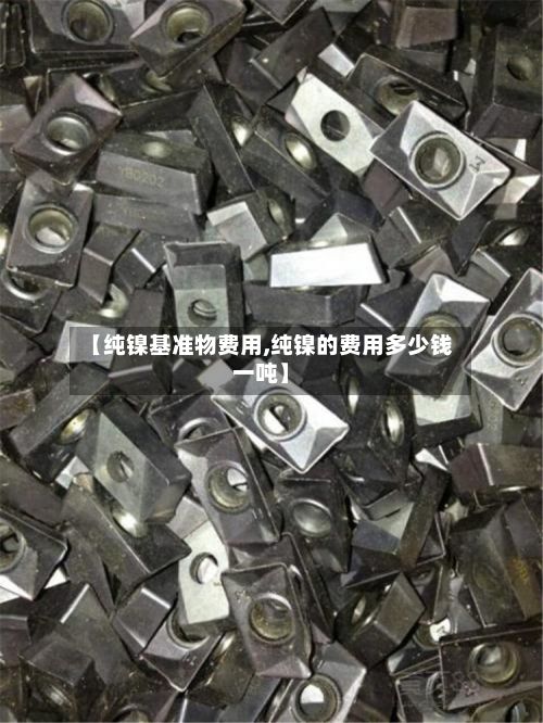 【纯镍基准物费用,纯镍的费用多少钱一吨】