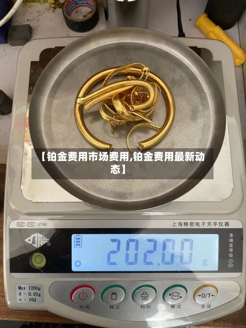 【铂金费用市场费用,铂金费用最新动态】-第3张图片