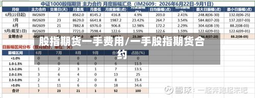 股指期货一手费用/一手股指期货合约