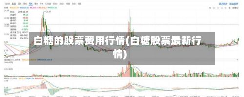 白糖的股票费用行情(白糖股票最新行情)-第2张图片