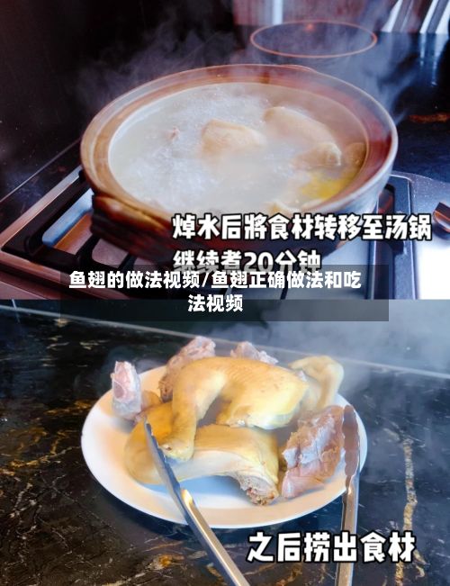 鱼翅的做法视频/鱼翅正确做法和吃法视频