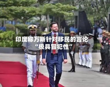 印度称万斯针对移民的言论“极具冒犯性	”-第1张图片