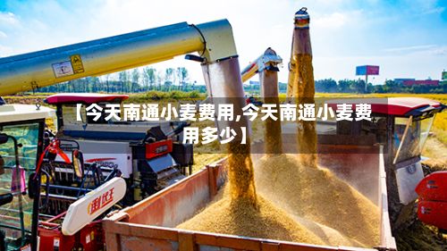 【今天南通小麦费用,今天南通小麦费用多少】-第2张图片