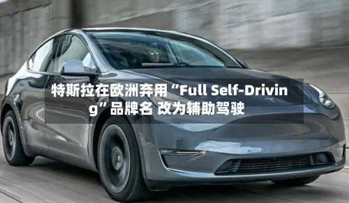 特斯拉在欧洲弃用“Full Self-Driving”品牌名 改为辅助驾驶-第1张图片