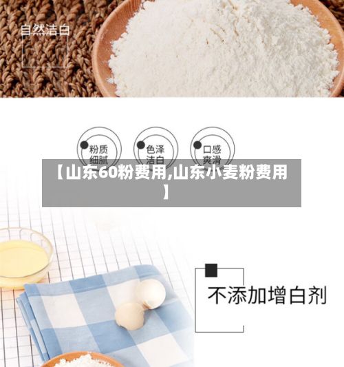 【山东60粉费用,山东小麦粉费用】