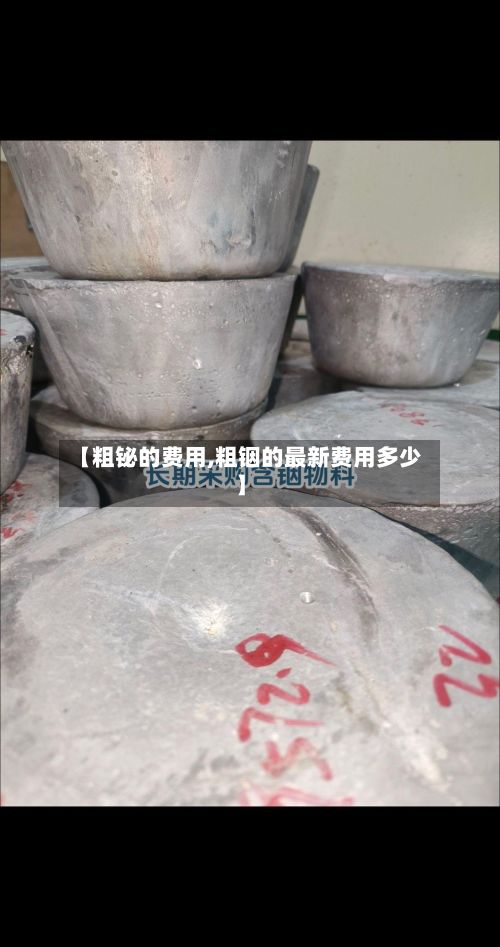 【粗铋的费用,粗铟的最新费用多少】