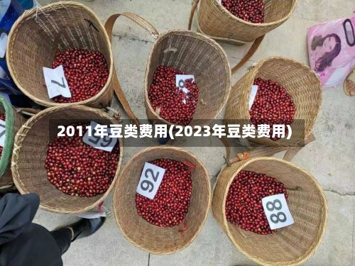 2011年豆类费用(2023年豆类费用)-第2张图片
