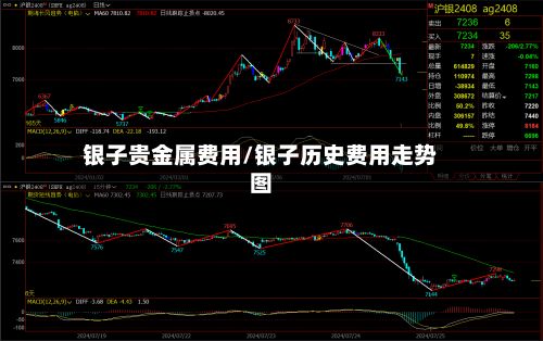 银子贵金属费用/银子历史费用走势图