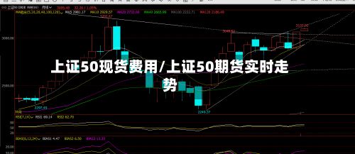 上证50现货费用/上证50期货实时走势-第2张图片