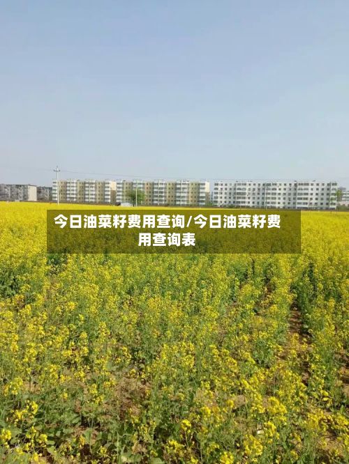 今日油菜籽费用查询/今日油菜籽费用查询表-第2张图片