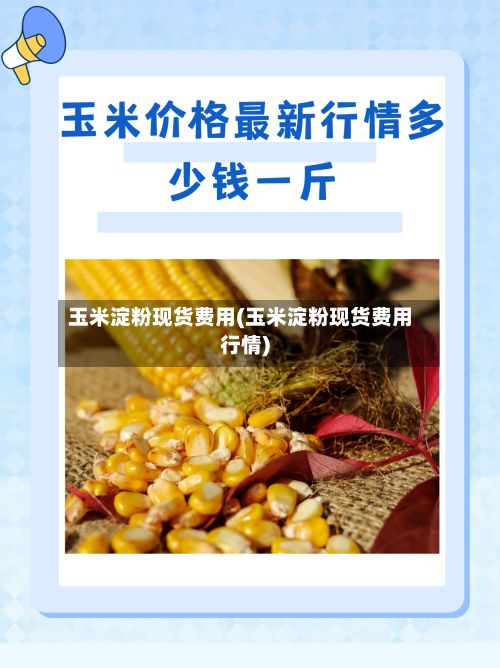 玉米淀粉现货费用(玉米淀粉现货费用行情)