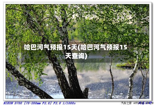 哈巴河气预报15天(哈巴河气预报15天查询)-第2张图片