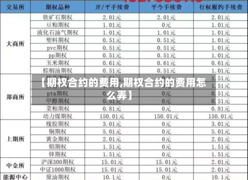 【期权合约的费用,期权合约的费用怎么弄】