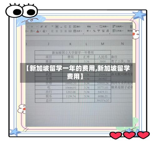 【新加坡留学一年的费用,新加坡留学费用】
