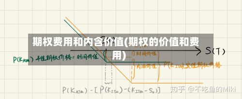 期权费用和内含价值(期权的价值和费用)