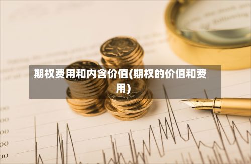期权费用和内含价值(期权的价值和费用)-第3张图片