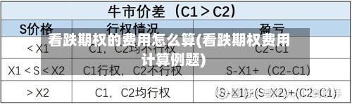 看跌期权的费用怎么算(看跌期权费用计算例题)
