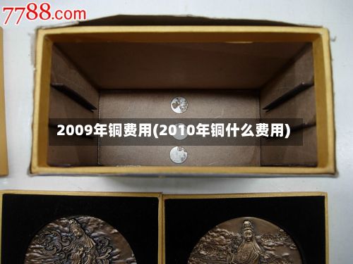 2009年铜费用(2010年铜什么费用)