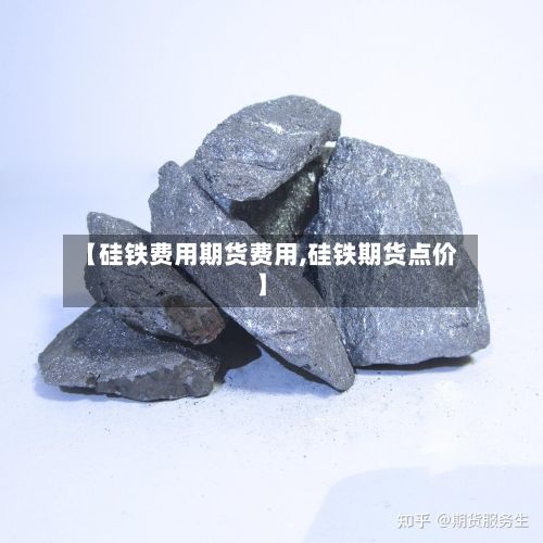 【硅铁费用期货费用,硅铁期货点价】-第2张图片